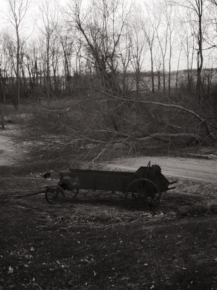 17190586_10155057545767640_7744693885714464851_n